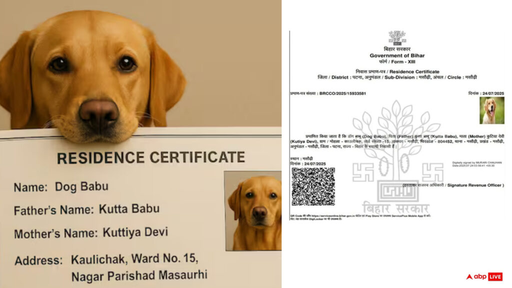 Dog Babu