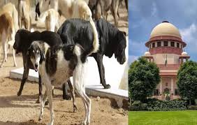 Supreme Court order on stray dogs