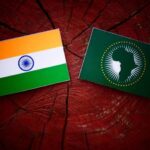 India–Africa Partnership: Moving from Summits to Sustainable